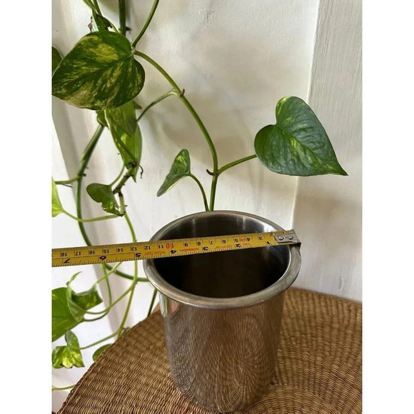 6” Tall silver Storage container - Picture 3 of 6